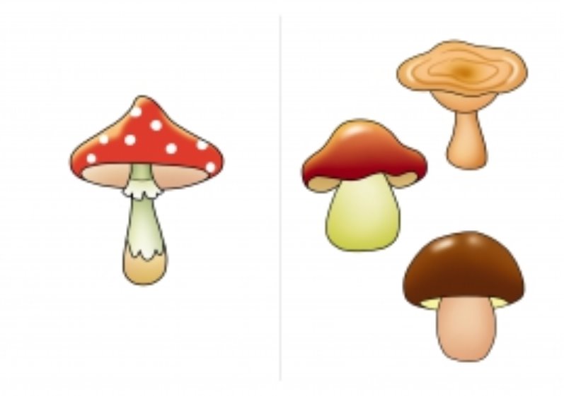 Один грибочек - много грибов